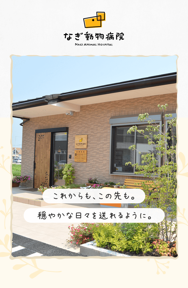 動物用 診察台 引き取り又は家財宅急便 儚